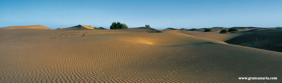 Dunas de Maspalomas