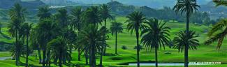 El Cortijo Club de Golf