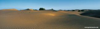 Dunas de Maspalomas